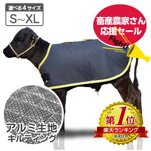 10グ1T[rX J[tWPbg A~ Iׂ S`XLTCY LeBOdl y{Y_Ƃ񉞉Z[Iz \n H qp h h΍ e {Y ̉ ̒