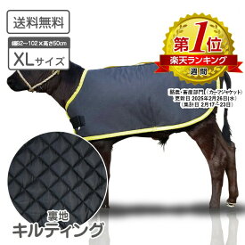 仔牛の防寒具 カーフジャケット XLサイズ CF キルティング仕様 表生地 撥水加工 子牛用 防寒具 防寒対策 仔牛 畜産 酪農 低体温 体調管理 黒毛和牛 和牛 飼養管理 肥育 冬対策 牛飼い 畜産農家 【送料無料】