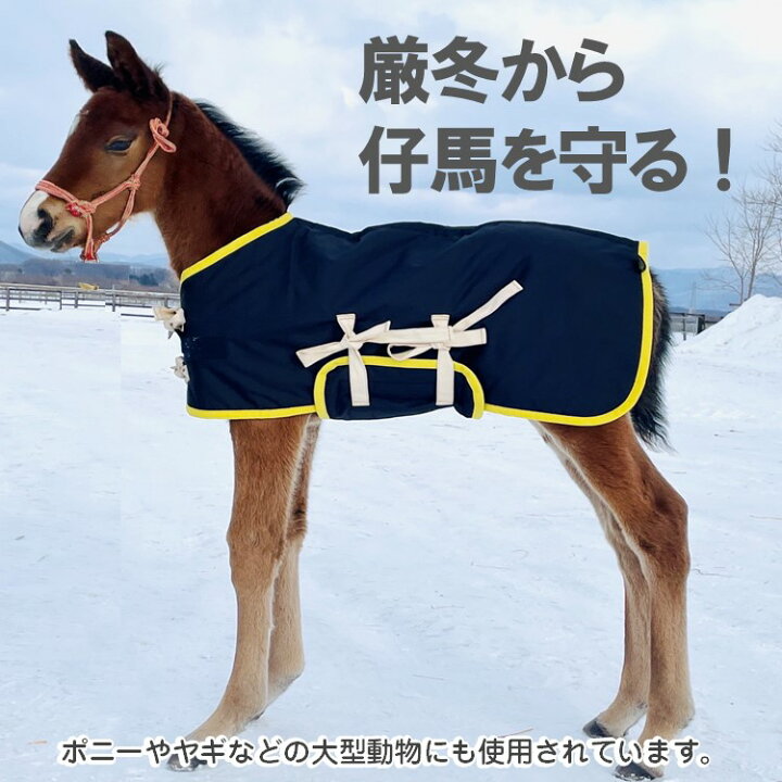 楽天市場】当歳 ポニー 用 馬服 アルミ Sサイズ 約幅60〜80×高さ45cm 