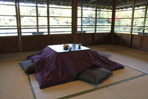 Kotatsu zcJo[ `ijp 205cm×245cm Ȃ 