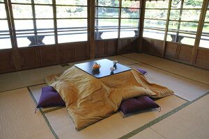 Kotatsu �����z�c�J�o�[ �����`�i��j�p 205cm×315cm �Ȃ��� ���炵