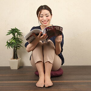 �ۍ��z�c�@40cmR �J�o�[�@�Ȃ��݁@�ނ炳���F