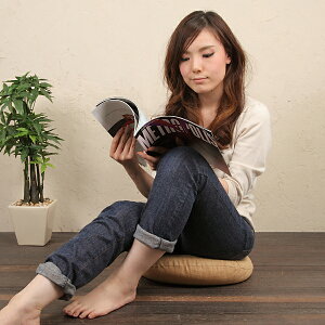 �ۍ��z�c�@40cmR �J�o�[�@�Ȃ��݁@���F