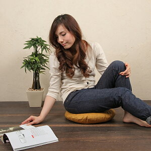 �ۍ��z�c�@40cmR �J�o�[�@�Ȃ��݁@���炵�F