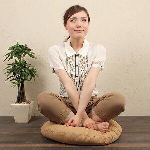 �ۍ��z�c�@60cmR �J�o�[�@�Ȃ��݁@���F