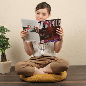 �ۍ��z�c�@60cmR �J�o�[�@�Ȃ��݁@���炵�F