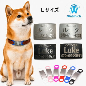 迷子札 犬 名入れ Lサイズ ブラブラしない 首輪に直接装着 ネームプレート 犬 ペット ネームタグ 犬 名札 ペットネームタグ ステンレス シリコンゴム付き ハーネス リード レーザー彫刻 ドッグタグ 災害対策