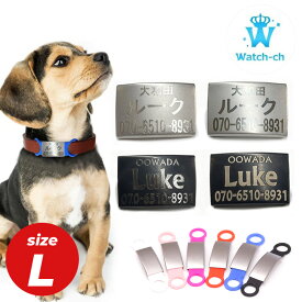 首輪・リードに直接装着可能 ペット 名札 首輪 ステンレス Lサイズ 名入れ ドッグタグ リード 鑑札 犬鑑札 ドックタグ ネームプレート ゴム シリコンゴム 猫 犬 迷子札 軽量 軽い まいごふだ 犬首輪 首輪犬 ハーネス 送料無料 かっこいい オーダーメイド オリジナル