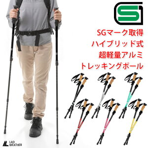 [hEFU[] gbLO|[ SG}[N擾 2{Zbg nCubh y oR  XebL gbLO AEghA Lv