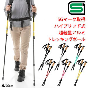 [hEFU[] gbLO|[ SG}[N擾 2{Zbg nCubh y oR  XebL gbLO AEghA Lv