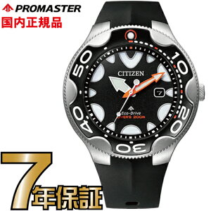 CITIZEN v}X^[ }[ BN0230-04E