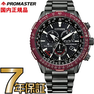 yN[i[NXv[gLy[!zV`Y v}X^[ CB5009-55E CITIZEN PROMASTER GRhCu _CNgtCg dgv rv Y ubN bh  yz