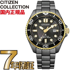�V�`�Y�� �v���}�X�^�[ BN0264-53E LIGHT in BLACK