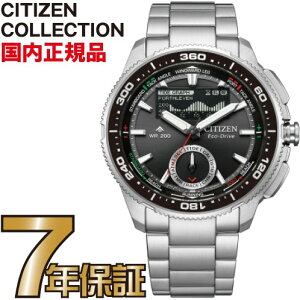 �y���������}���\�����Ԍ��聚�G���g���[��P10�{!�z�V�`�Y�� �v���}�X�^�[ JV3001-53E Wave Tracker