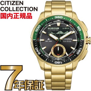 �V�`�Y�� �v���}�X�^�[ JV3002-51E Wave Tracker