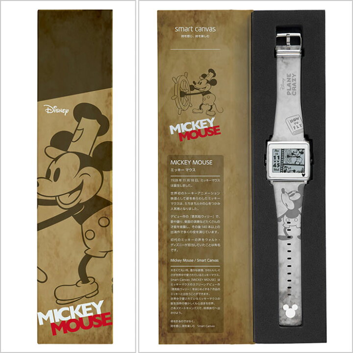 エプソンスマートキャンバスミッキーマウス 