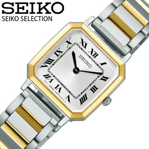 _}\|Cg10{ & N[|zz^ ZCR[ rv ZCR[ZNV nanoEuniverse Special Edition SEIKO SEIKO SELECTION fB[X zCg Vo[ S[h v SSEH016 lC 