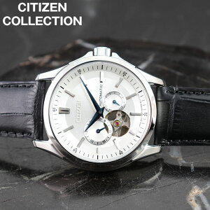 yZ[16,170~IzV`Y rv V`YRNV CITIZEN CITIZEN COLLECTION Y zCg ubN v @B  NP1011-08A lC   uh v[