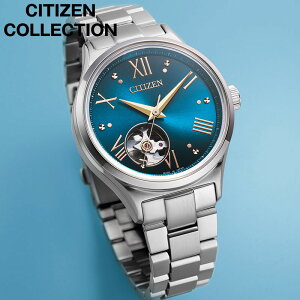 yubNtCf[I300~OFFN[|tIzV`Y rv CITIZEN v V`YRNV CITIZEN COLLECTION fB[X rv u[ @B  胂f PC1010-52L V