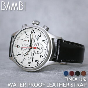 y^CbNX Ήz͝U[ TIMEX rv ւxg ubN uE lCr[ u[ bh     Vo[ S[h p oh  lC vxg h U[ x