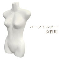 レディース トルソー ディスプレイ マネキン 婦人用 前面 壁掛け用フック付き 撮影用 出品用 販売用 ハー…