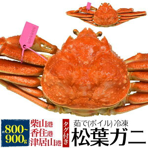 䥂ŏtKj YCKj 1t 800`900g {Cς Ynؖ^Ot 1 A Yn }coKj tI tJj Jj I  {C 䥂 RA ĎR ËR Z ɌY