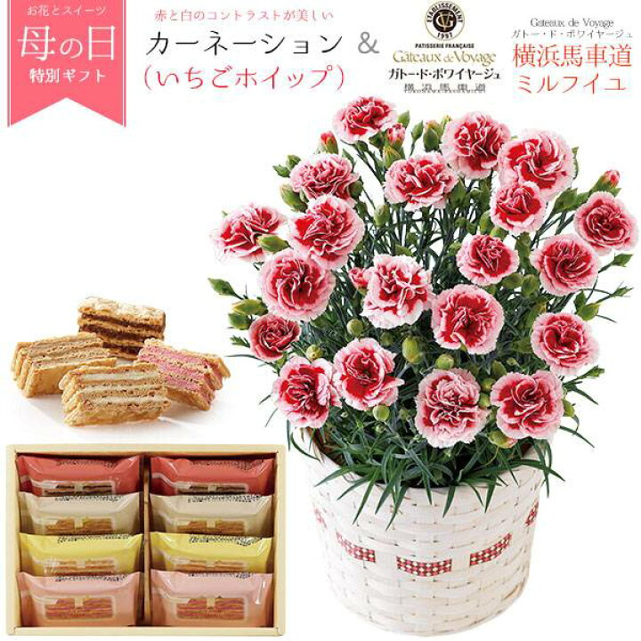 内祝い お返し 出産 メーカー直送 花束 結婚祝い 結婚内祝い 91本のお申し込み 送料無料 バラの花束 ギフト 出産祝い 内祝い お返し 出産 メーカー直送 花束 結婚祝い 結婚内祝い 91本のお申し込み 送料無料 バラの花束 ギフト 出産祝い