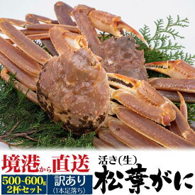 訳あり 活松葉ガニ 2杯 カニ 約500g～600g前後 ズワイガニ 生きたまま出荷 2尾 A級 活き 産地直送 活け マツバガニ 松葉蟹 松葉カニ 蟹 かに まつばがに ブランド蟹 山陰 島根県産 鳥取県産 境港 産直 日本海 姿 贈答用 国内水揚げ 贈り物 お歳暮 ギフト 通販 冷蔵 クール便