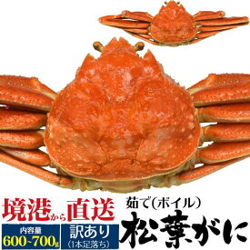 訳あり 茹で松葉ガニ カニ 約600g～700g 前後 1杯 ズワイガニ ボイル 釜茹で 1尾 A級 産地直送 マツバガニ 松葉蟹 松葉カニ 蟹 かに まつばがに ブランド蟹 山陰 島根県産 鳥取県産 境港 産直 日本海 姿 贈答用 国内水揚げ 贈り物 お歳暮 ギフト 通販 冷蔵 クール便