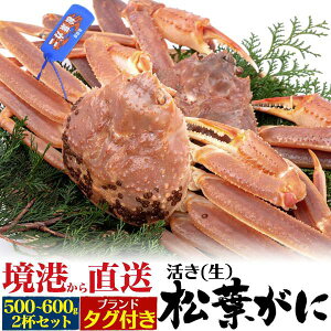 uh^Ot 2tZbg Jj tKj 500g`600gO 2t YCKj ܂܏o 2 A  Yn  }coKj tI tJj I  ܂΂ uhI RA 