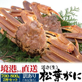 訳あり 2杯セット 活松葉ガニ ズワイガニ 2杯 約700〜800g アウトレット 生きたまま出荷 2尾 A級 活き 産地直送 活け マツバガニ 松葉蟹 松葉カニ カニ 蟹 かに まつばがに ブランド蟹 山陰 境港 兵庫県産 兵庫産 産直 日本海 姿 贈答用 国内水揚げ 贈り物 お歳暮 ギフト