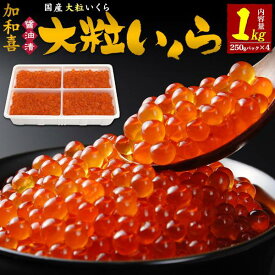 いくら 味付け大粒いくら 1kg(250gパック×4) 加和喜フーズ 醤油漬け 1キロ 2特 国産 たっぷり 秋鮭 サケ イクラ 魚卵 いくら丼 海鮮 寿司 手巻き 丼 高級 ご褒美 贅沢 贈答用 ギフト プレゼント 御祝い 内祝い お歳暮 御歳暮 お取り寄せグルメ 化粧箱入り 冷凍クール便