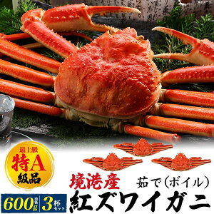 ŏ㋉ Ai gYCKj 1t(600gO) Jj  䥂 p {C IXՂ {C RA Y Y 挧 ` ׂɂ킢I ׂɂ킢 ɂ݂ Jj݂ 䥂ŊI 󂠂 N