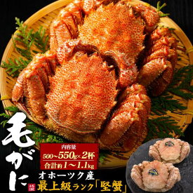 2尾 北海道オホーツク産 最高級 毛ガニ 合計約1～1.1kg 約500g～550g×2杯 堅蟹 国産 ボイル 茹蟹 毛蟹 姿 毛ガニ 茹で蟹 贈り物 贈答用 魚介類 海鮮 冬ギフト おせち料理2025 お正月 忘年会 豪華 贅沢 新年会 人気 定番 御歳暮 お歳暮 のし対応 熨斗対応 お取り寄せ