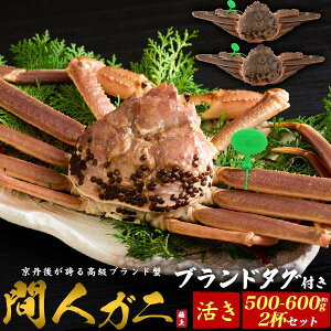 2C () ԐlKj 500`600g uh^Ot I Jj  tKj̍ō ʖũJjvԐlI Ԑl ԐlKj tI Ԑl`Y   {C Y Y s{ 