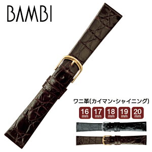 rv vxg voh {v  BAMBI or BWE180 jv Y tXd EIb` 16mm 17mm 18mm 19mm 20mm ba-BWE180 50̂:|Cg10{&N[|p5%OFF