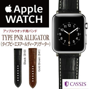 �A�b�v���E�I�b�` �o���h �A�b�v���E�H�b�`�p�x���g TYPE PNR ALLIGATOR �^�C�v�s�[�G�k�A�[���A���Q�[�^�[ �{�v �r���v apple watch series Ultra,8,7,6,SE,5,4,3,2,1 42mm 44mm 45mm 49mm �J�V�X awca-x5536d46apo