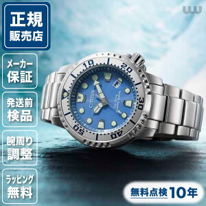 V`Y v}X^[ BN0165-55L 44mm 44~ Y rv Yrv V`Yrv Vi Ki rWlX u[  F CITIZEN 