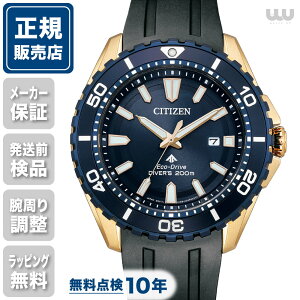 V`Y v}X^[ BN0196-01L MARINE 44mm 44~ Y rv Yrv V`Yrv Vi Ki t@bV ubN  F CITIZEN 