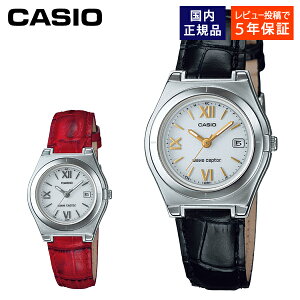 CASIO rv fB[X dg\[[ wave ceptor LWQ-10DJ JVI EF[uZv^[ Ki