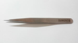 v H@DUMONT(fg)@DUMOXEL(fNZ)sZbgNO.1