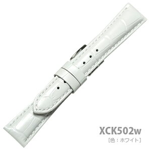 XCK502w mVinyv^Ep[J[ - 19mmEz - FFzCg / TCYF19-16mm - F5-3.5mm / FF