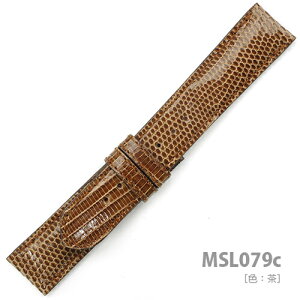 MSL079c21y󏭃O}[NU[higJQjEz- F: b xg:21,22.24mm- :5-2mm