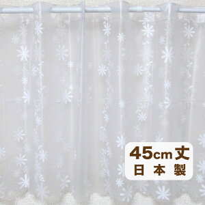 y[OKzR h JtFJ[e t[ zCg STCY 45cm hJrfށy{z120cm 30cmɂŃJbg!  ԕ C oX[ C  ډB 