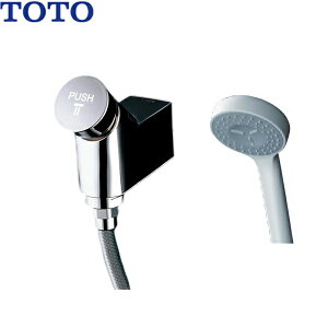 TMF19Y1 TOTO I[gXgbvV[  