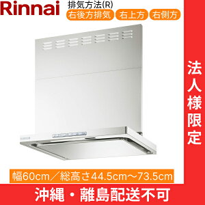 OGR-REC-AP602RFW iC RINNAI Wt[h ICX}bV[EX^ 60cm ǖʎt^Cv tXgzCg rCE^Cv @llEzs 