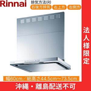 OGR-REC-AP602RSV iC RINNAI Wt[h ICX}bV[EX^ 60cm ǖʎt^Cv Vo[^bN rCE^Cv @llEzs 
