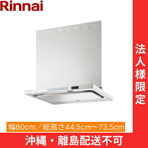 TAG-REC-AP601FW �����i�C RINNAI �����W�t�[�h �m���t�B���^�[�E�X�����^ ��60cm �ǖʎ�t�^�C�v �t���X�g�z���C�g �@�l�l����E����z���s�� ��������