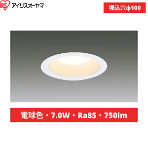 LSB100-1027NCSSW-V4 10��Z�b�g �A�C���X�I�[���} IRIS OHYAMA LED�_�E�����C�g SB�` �񒲌� �d���F ��������