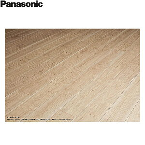 KGS2CT �p�i�\�j�b�N PANASONIC �x���e�B�X�t���[�����O �_�u���R�[�g �J�[���`�F���[�� 1�P�[�X12���� 3.16���� ��������